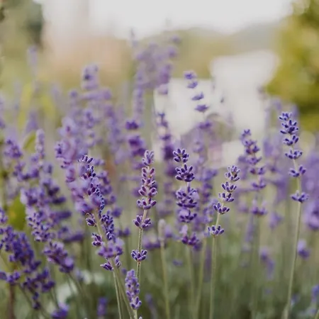 Wonderland With Private Spa/wellness * Ralingen