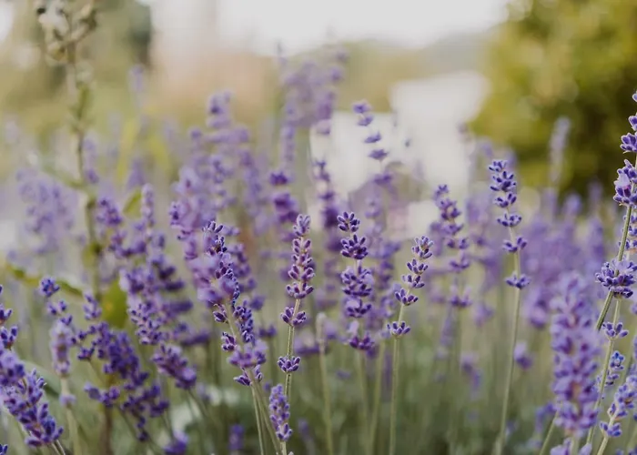 Wonderland With Private Spa/wellness * Ralingen